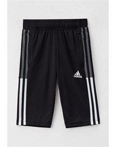 Бриджи Adidas