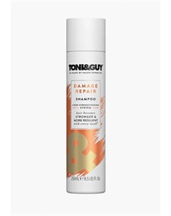 Шампунь Toni&guy