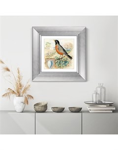 Картина птицы винтажная почтовая открытка 2 1918г серый 35x35 см Картины в квартиру