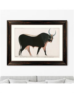 Репродукция картины в раме the apis bull 1820г коричневый 80x60 см Картины в квартиру