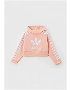 Худи Adidas originals