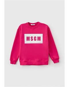 Свитшот Msgm kids