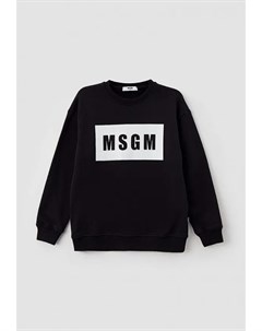 Свитшот Msgm kids