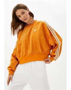 Свитшот Adidas originals