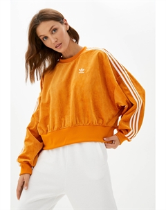 Свитшот Adidas originals