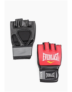 Перчатки боксерские Everlast