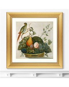 Репродукция картины в раме basket of fruit with parrot 1777г мультиколор 60x60 см Картины в квартиру