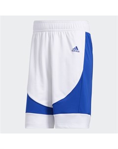 Баскетбольные шорты N3XT L3V3L Prime Performance Adidas