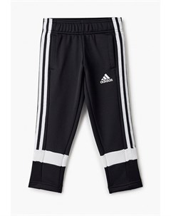 Брюки спортивные Adidas