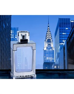 Туалетная вода Rich Man 100мл Paris bleu parfums