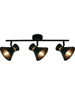 Спот A1406PL 3BK Arte lamp