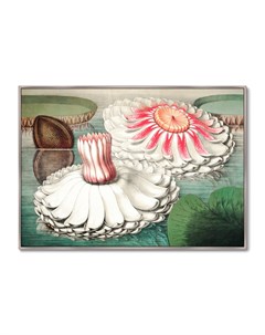 Репродукция картины на холсте water lily during bloom 1870г мультиколор 105x75 см Картины в квартиру