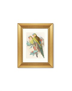 Репродукция картины в раме love parrots 1850г мультиколор 40x50 см Картины в квартиру