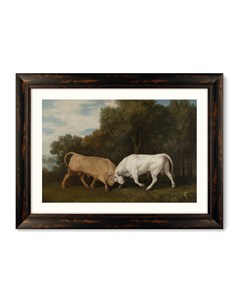 Репродукция картины в раме bulls fighting 1786г мультиколор 80x60 см Картины в квартиру