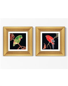 Набор из 2 х репродукций картин в раме red and green parrots 1900г мультиколор 35x35 см Картины в квартиру