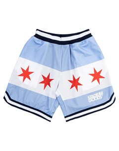 Шорты Chicago Team Stadium goods