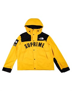 Парка Arc Logo Mountain из коллаборации с The North Face Supreme