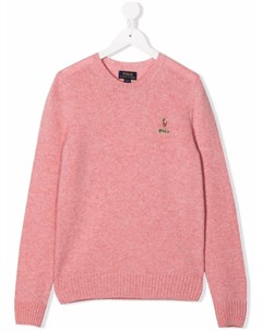 Джемпер с вышитым логотипом Ralph lauren kids