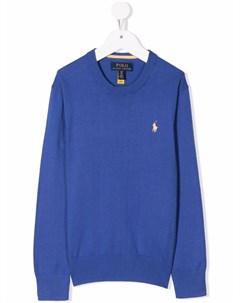 Джемпер с вышивкой Polo Pony Ralph lauren kids