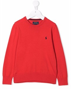 Джемпер с вышивкой Polo Pony Ralph lauren kids