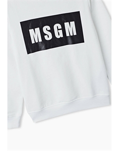 Свитшот Msgm kids