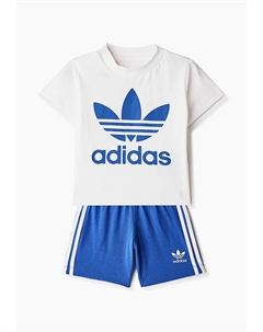 Костюм спортивный Adidas originals