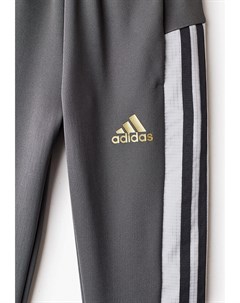 Брюки спортивные Adidas