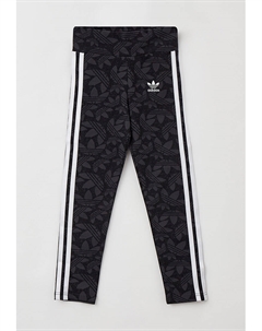 Леггинсы Adidas originals