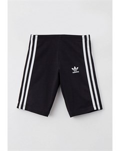 Велосипедки Adidas originals