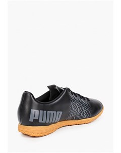 Бутсы зальные Puma