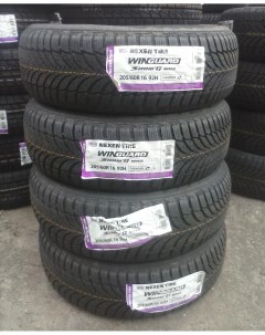 Автомобильные шины Winguard Snow G WH2 185 55R16 87T Nexen