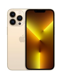 Смартфон iphone 13 pro 128gb gold адаптер питания canyon cne cha20w02 Apple