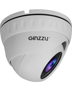 IP камера HID 2032S Ginzzu