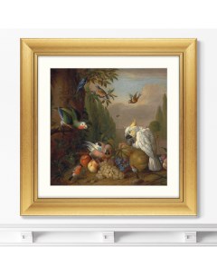 Репродукция картины в раме a cockatoo a parrot a jay and other birds 1715г коричневый 60x60 см Картины в квартиру