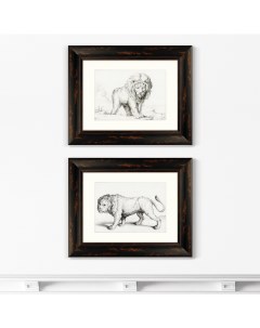 Набор из 2 х репродукций картин в раме lions 1831г мультиколор 50x40 см Картины в квартиру