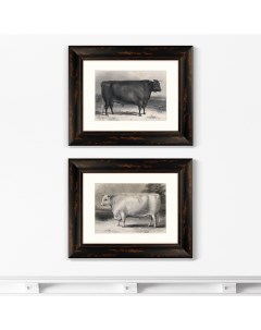 Набор из 2 х репродукций картин в раме a devon bull 1849г мультиколор 50x40 см Картины в квартиру