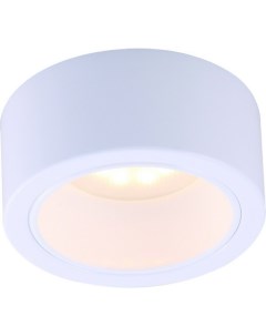 Накладной светильник A5553PL 1WH Arte lamp