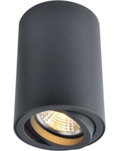 Накладной светильник A1560PL 1BK Arte lamp