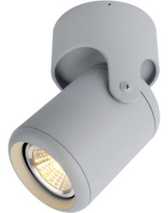 Накладной светильник A3316PL 1GY Arte lamp