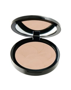 Пудра для лица PROFASHION ADVANCED POWDER Pastel