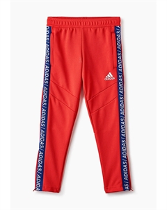 Брюки спортивные Adidas