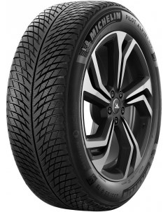 Шины Pilot Alpin 5 SUV 275 50R21 113V XL Michelin