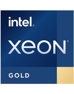 Процессор Xeon Gold 6330H CD8070604560002 Intel