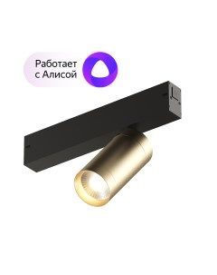 Dk8010 bg акцентный светильник smart spot 9w dim 3000k 6000k матовое золото с черным золотой Denkirs