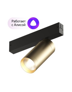 Dk8020 bg акцентный светильник smart spot 20w dim 3000k 6000k матовое золото с черным золотой Denkirs