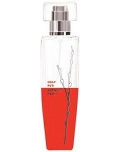 Туалетная вода Arthur Moni Half Red 100мл Dilis parfum