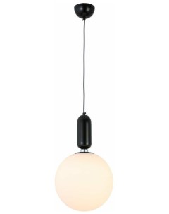 Светильник подвесной SL1220.403.01 черный/белый (1*60Вт, E27) St luce