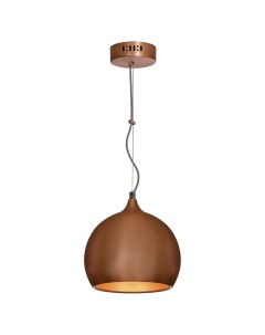 Светильник подвесной Loft Aosta GRLSN 6106 01 1 10Вт E27 Lussole