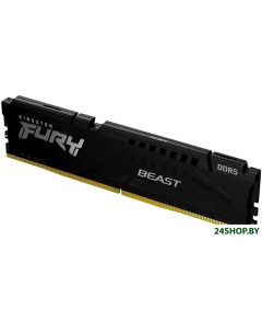 Оперативная память FURY Beast 8ГБ DDR5 4800МГц KF548C38BB 8 Kingston