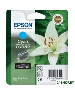 Картридж для принтера C13T05924010 Epson
